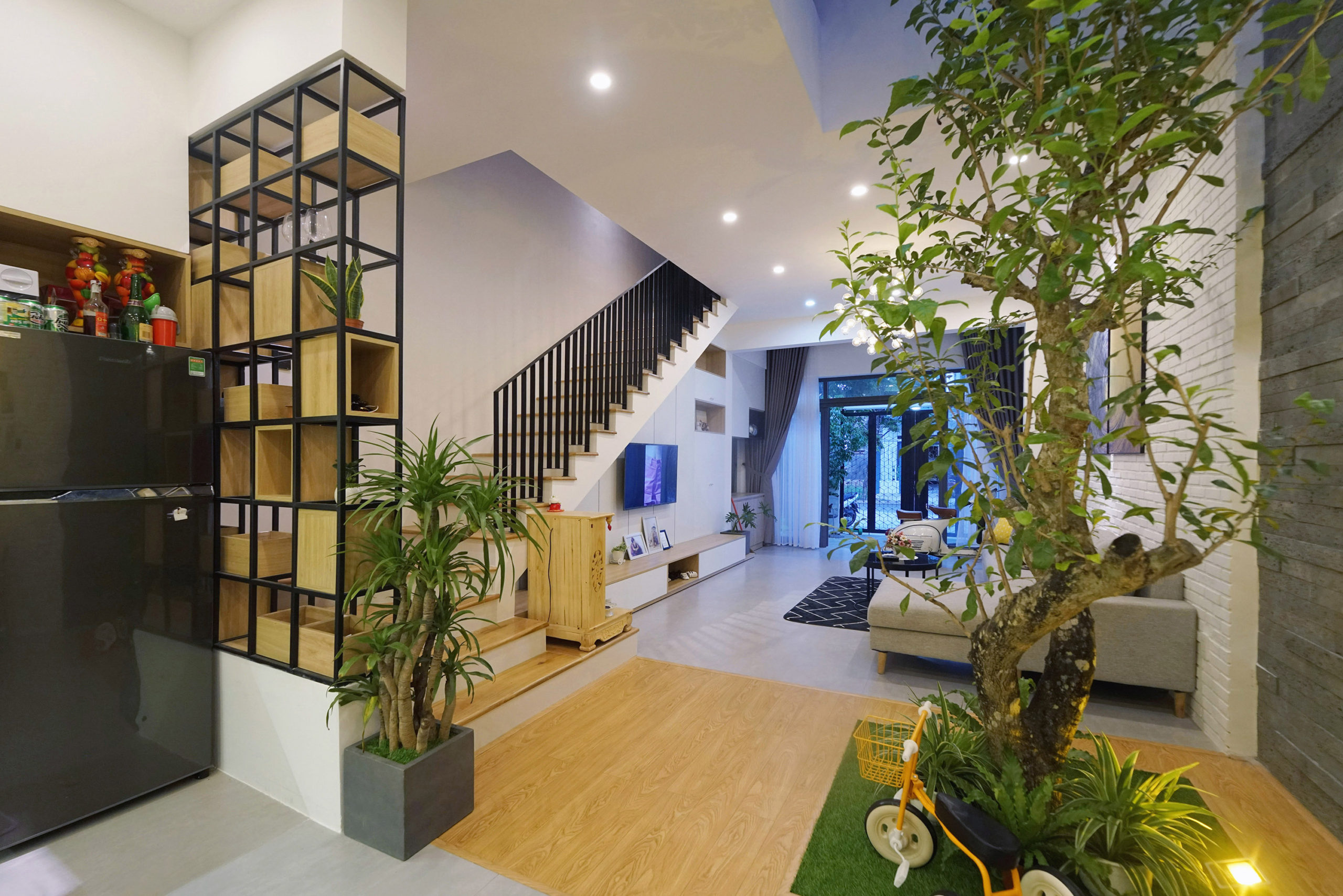 những loại cây thân gỗ trồng trong nhà cây đào tiên