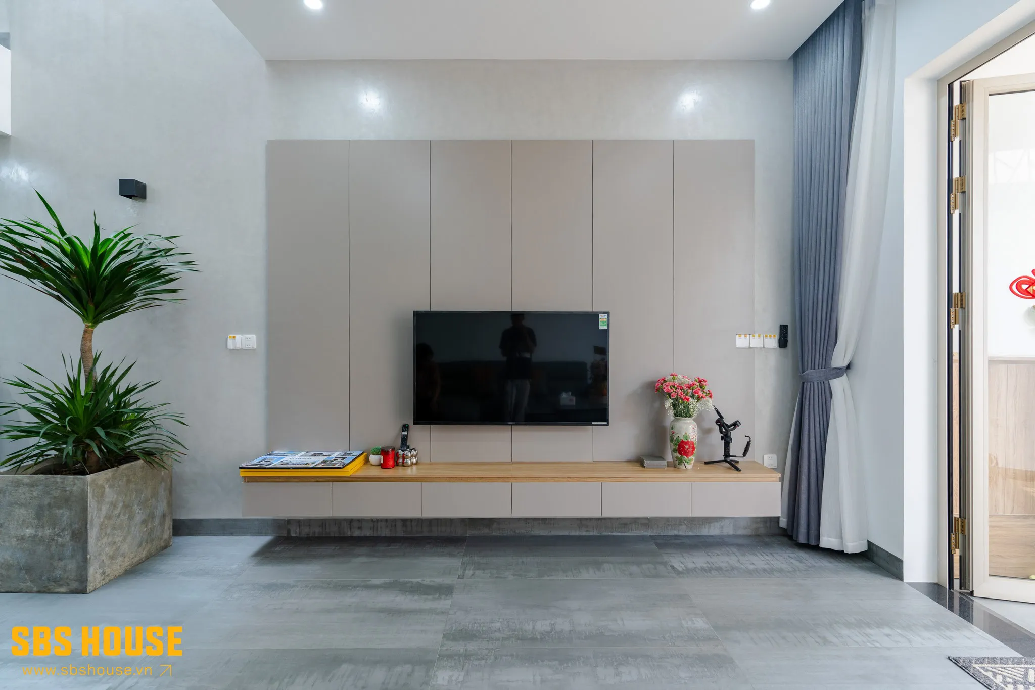 Cây phát tài để phòng khách đẹp