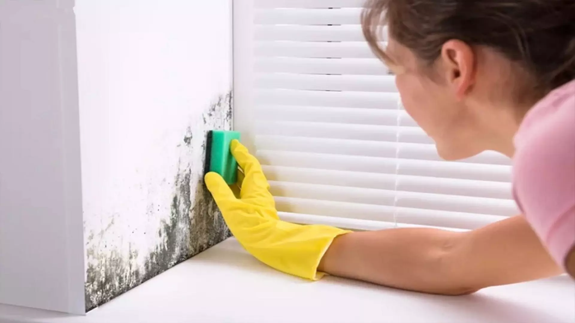 làm sạch các vết bẩn trên tường nhà