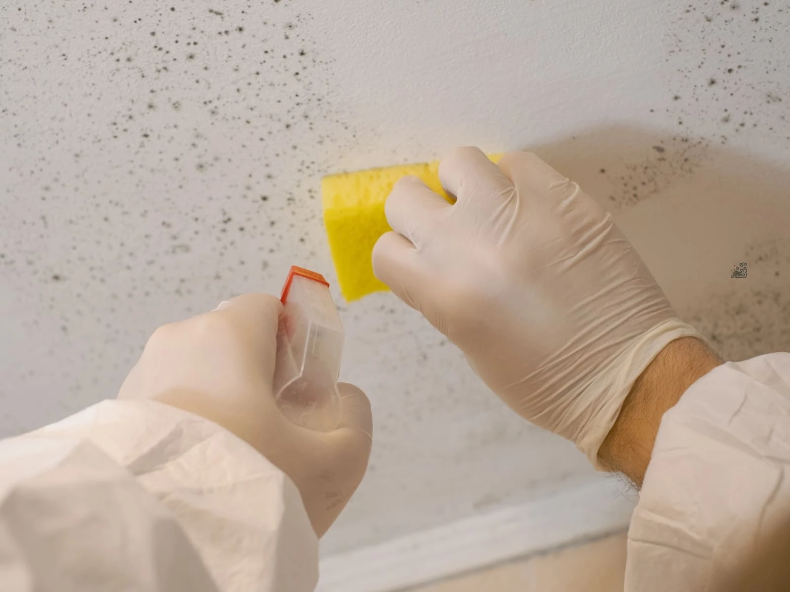 cách làm sạch vết ẩm mốc trên tường nhà