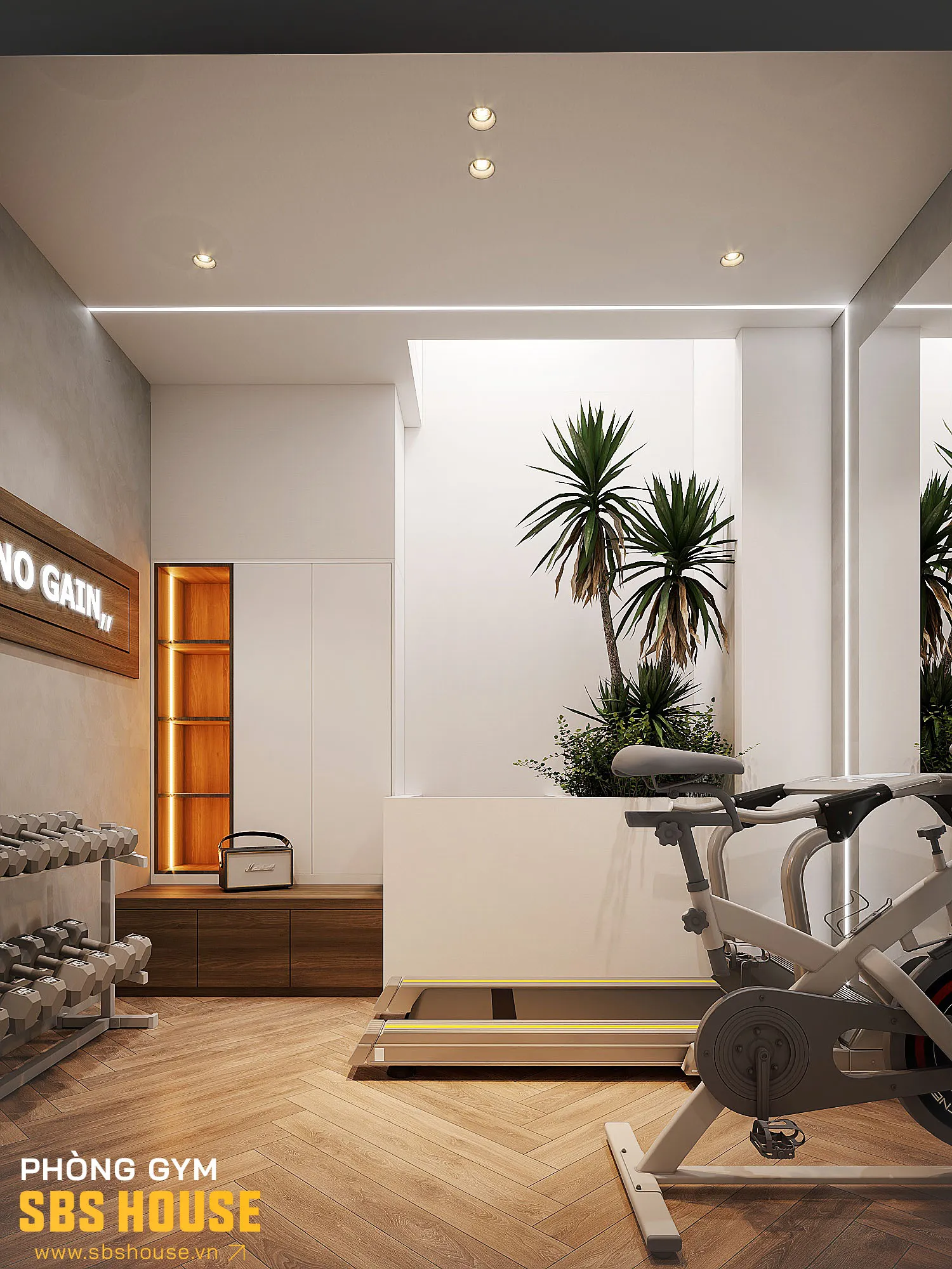 phòng tập gym hiện đại