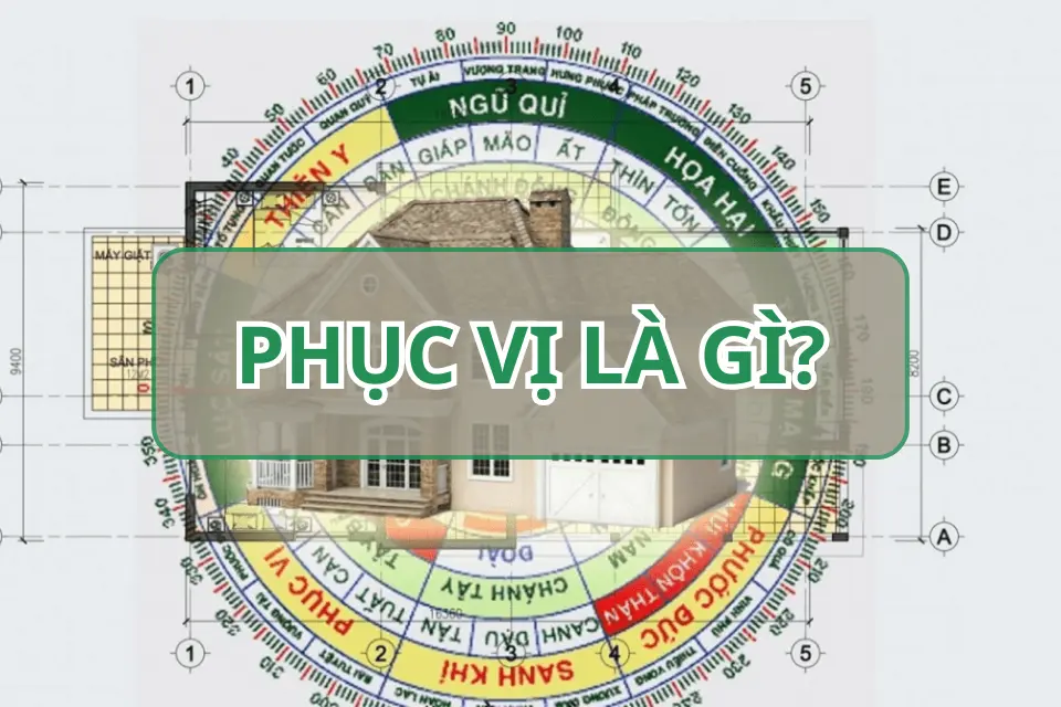 phục vị là gì