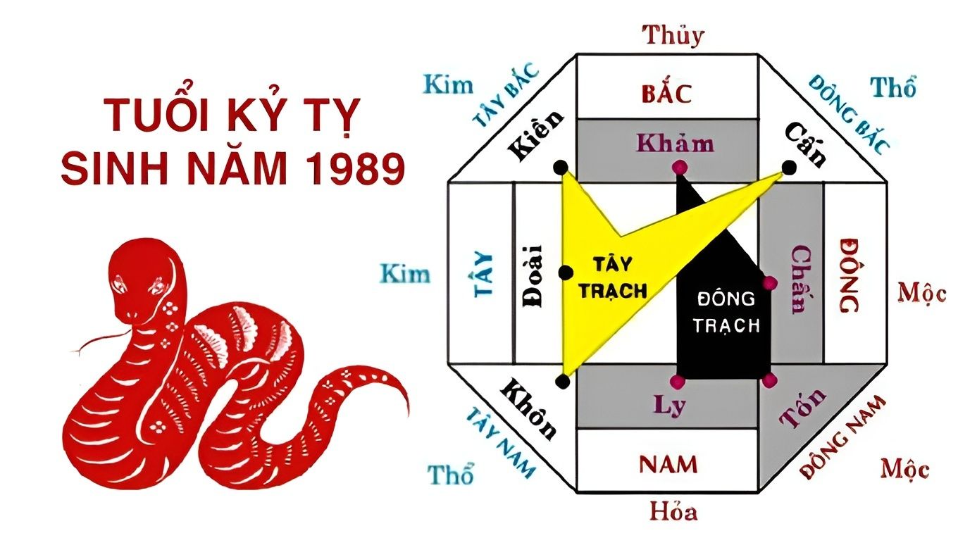 Tuổi Kỷ Tỵ 1989 làm nhà năm nào tốt 