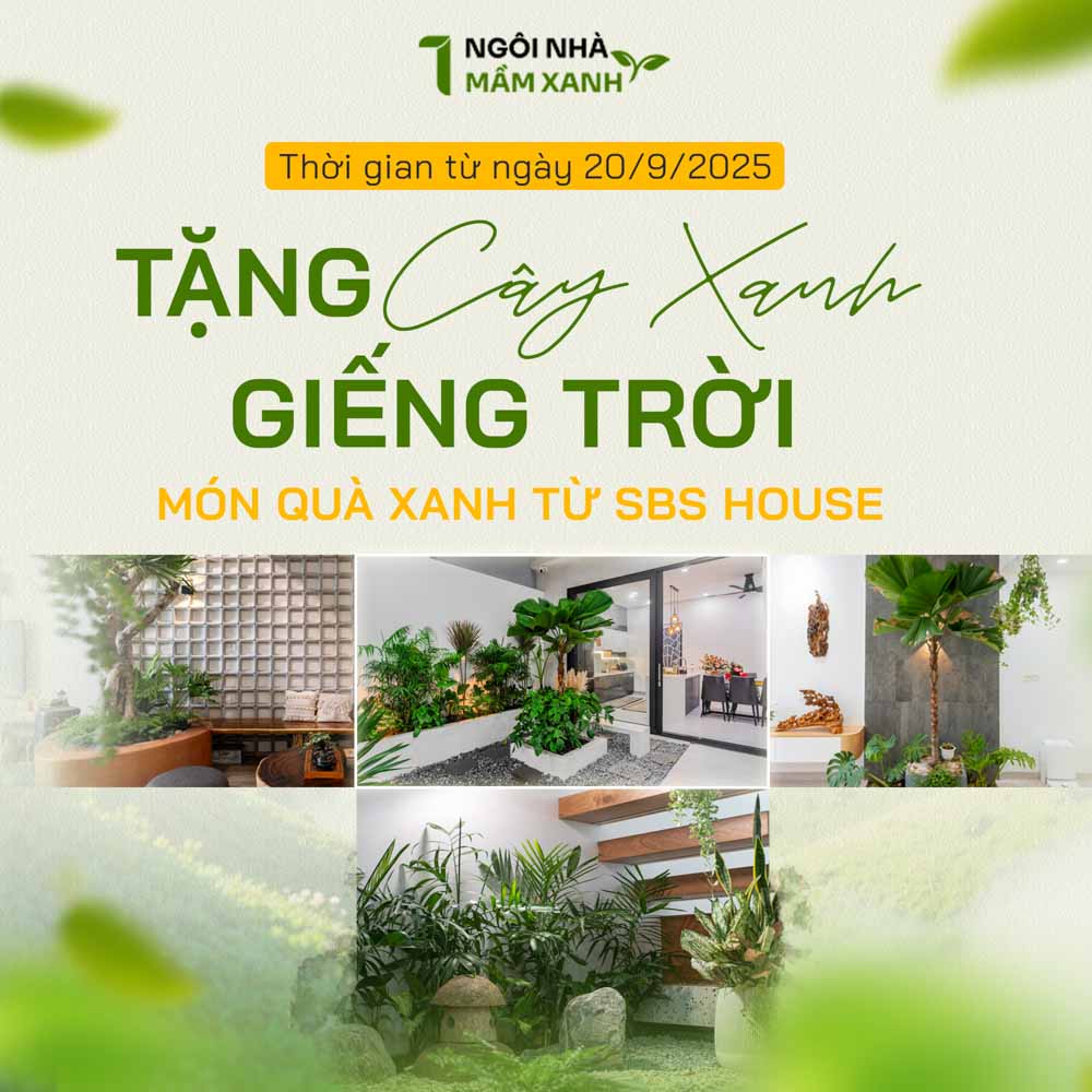 SBS tặng cây xanh