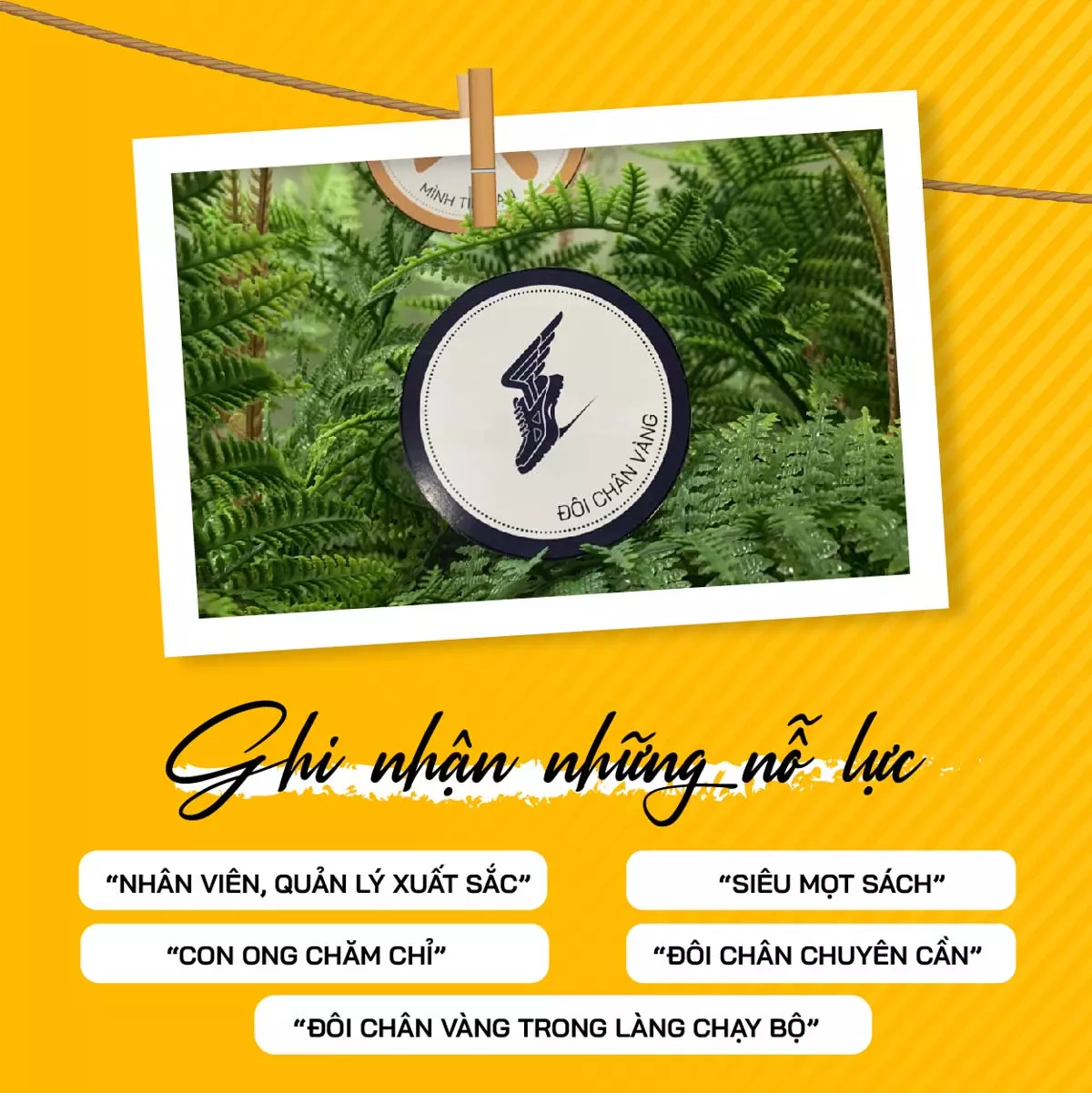 SBS ghi nhận những nổ lực